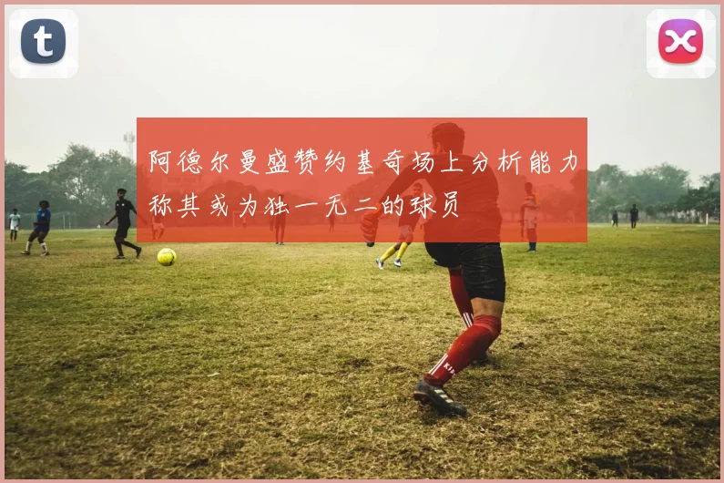 阿德尔曼盛赞约基奇场上分析能力称其或为独一无二的球员