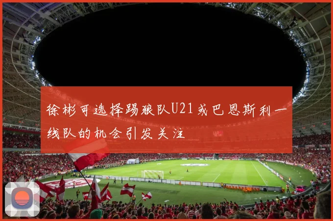 徐彬可选择踢狼队U21或巴恩斯利一线队的机会引发关注