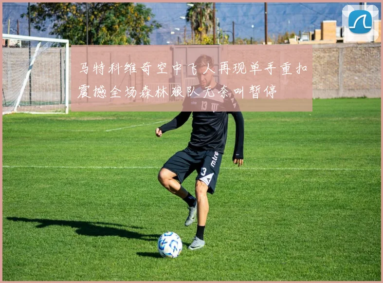 马特科维奇空中飞人再现单手重扣震撼全场森林狼队无奈叫暂停