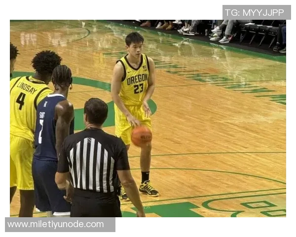 媒体人分析林葳与马健的相似之处及其成就对比引发热议